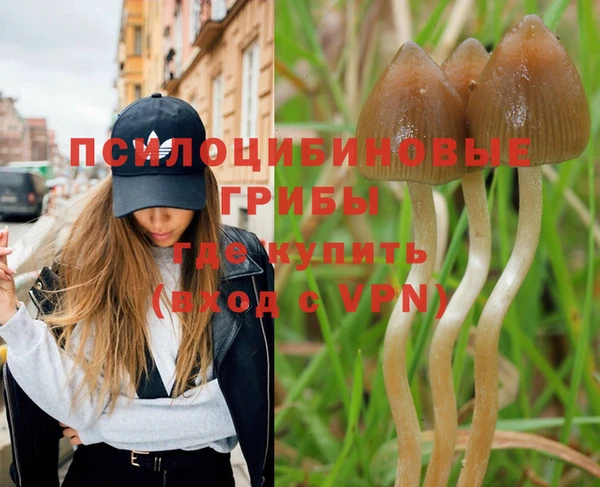 прущая мука Заволжск