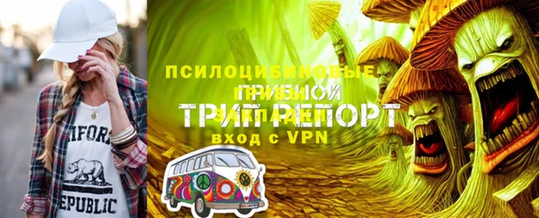 крисы Зеленодольск