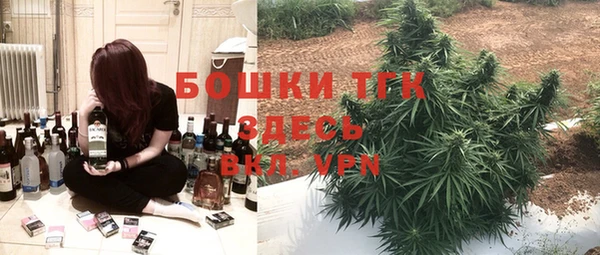 крисы Зеленодольск