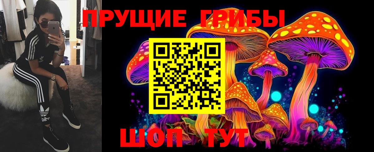 Галлюциногенные грибы мухоморы  Псилоцибиновые грибы Cubensis  Вход с VPN  сколько стоит  Кореновск 