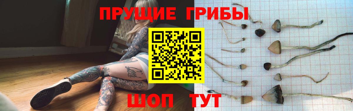 Галлюциногенные грибы мухоморы Кореновск