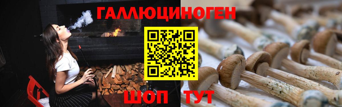 Псилоцибиновые грибы Psilocybine cubensis Кореновск